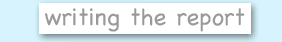 writing the report